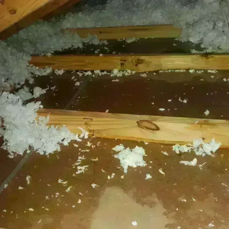 Attic Water Damage in Cheyenne County, NE